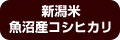 新潟米　魚沼産コシヒカリ